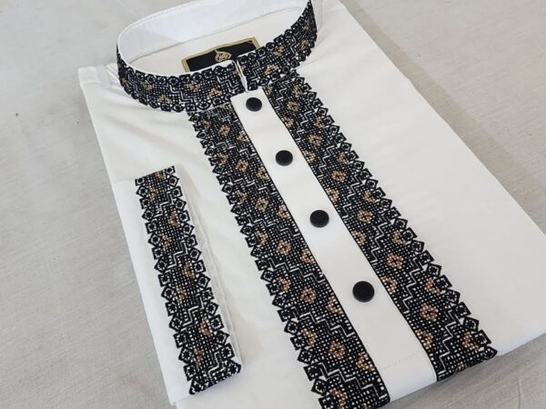 484983383_122186809160113832_3241896511200123009_n Embroidered Adi Cotton Panjabi