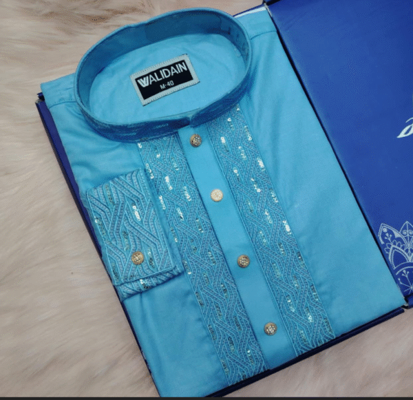arong cotton sky blue karchupi 1 Vibrant Blue Panjabi with Sequin Embroidery